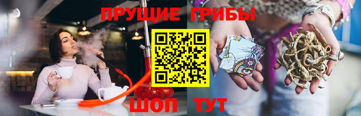 Галлюциногенные грибы мицелий Тимашёвск